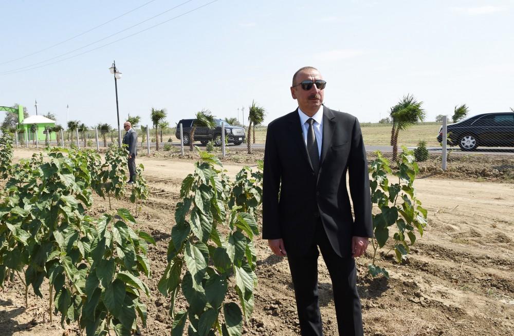 Prezident İlham Əliyev Cəlilabadda “Günəşli-Aqro” MMC-nin aqroparkında yaradılan şəraitlə tanış olub (FOTO)