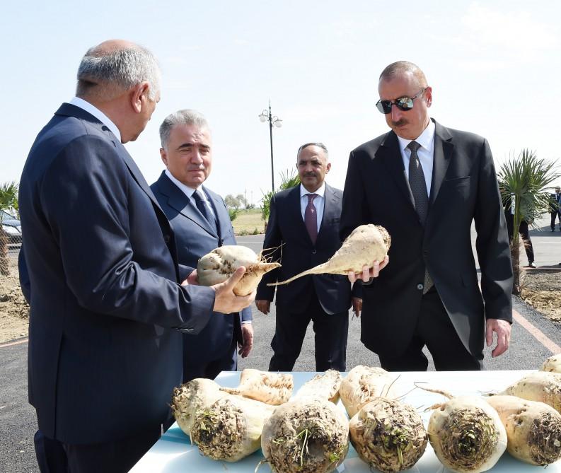 Prezident İlham Əliyev Cəlilabadda “Günəşli-Aqro” MMC-nin aqroparkında yaradılan şəraitlə tanış olub (FOTO)