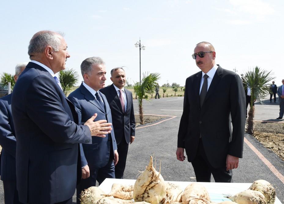 Prezident İlham Əliyev Cəlilabadda “Günəşli-Aqro” MMC-nin aqroparkında yaradılan şəraitlə tanış olub (FOTO)
