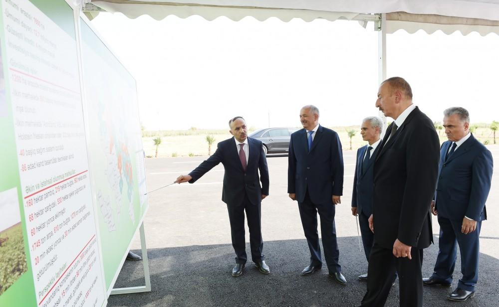 Prezident İlham Əliyev Cəlilabadda “Günəşli-Aqro” MMC-nin aqroparkında yaradılan şəraitlə tanış olub (FOTO)
