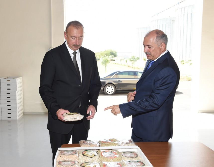 Prezident İlham Əliyev “Avanqard” MMC-nin dənli və paxlalı bitkilərin təmizlənməsi və qablaşdırılması müəssisəsinin açılışında iştirak edib (FOTO)