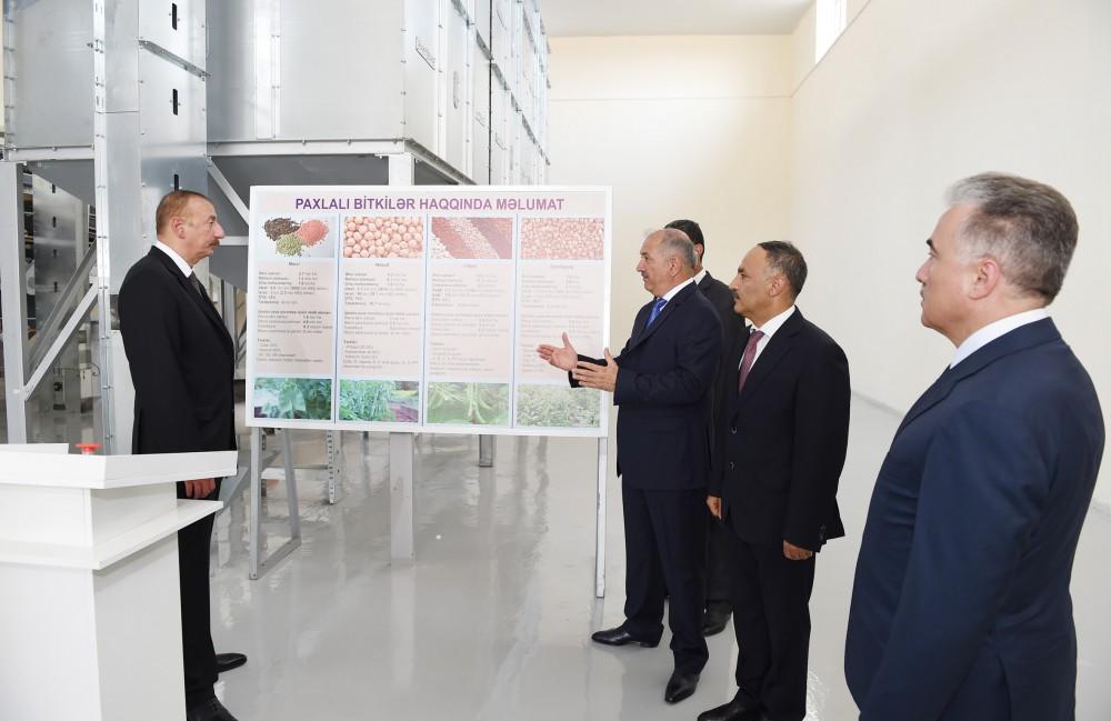 Prezident İlham Əliyev “Avanqard” MMC-nin dənli və paxlalı bitkilərin təmizlənməsi və qablaşdırılması müəssisəsinin açılışında iştirak edib (FOTO)