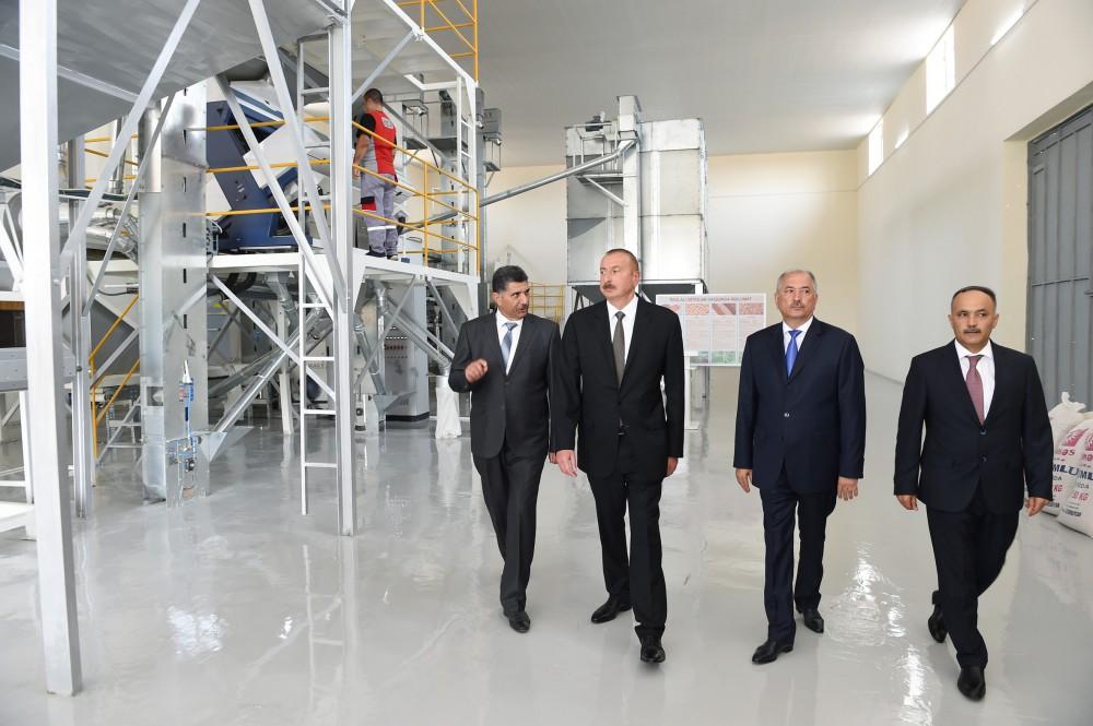 Prezident İlham Əliyev “Avanqard” MMC-nin dənli və paxlalı bitkilərin təmizlənməsi və qablaşdırılması müəssisəsinin açılışında iştirak edib (FOTO)