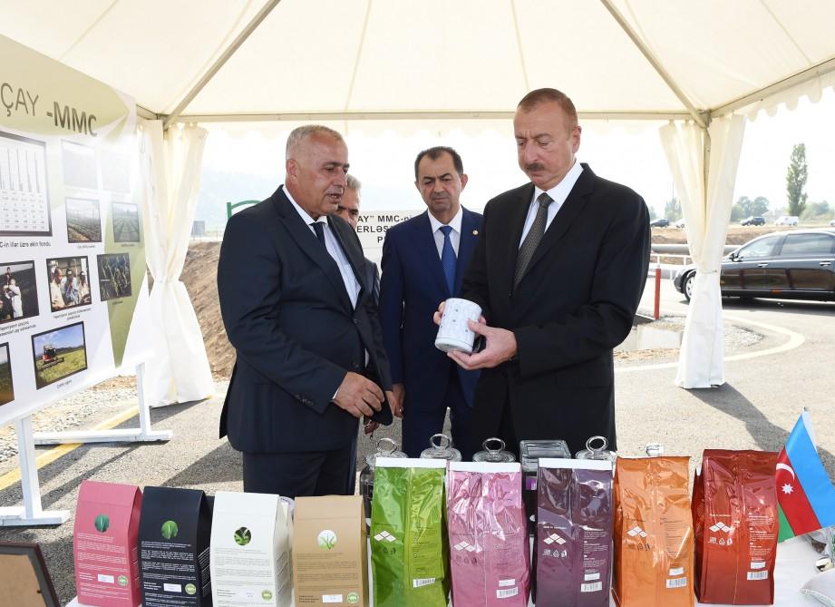Prezident İlham Əliyev Lənkəranda “Astara Çay” MMC-nin çay plantasiyalarına baxıb (FOTO)