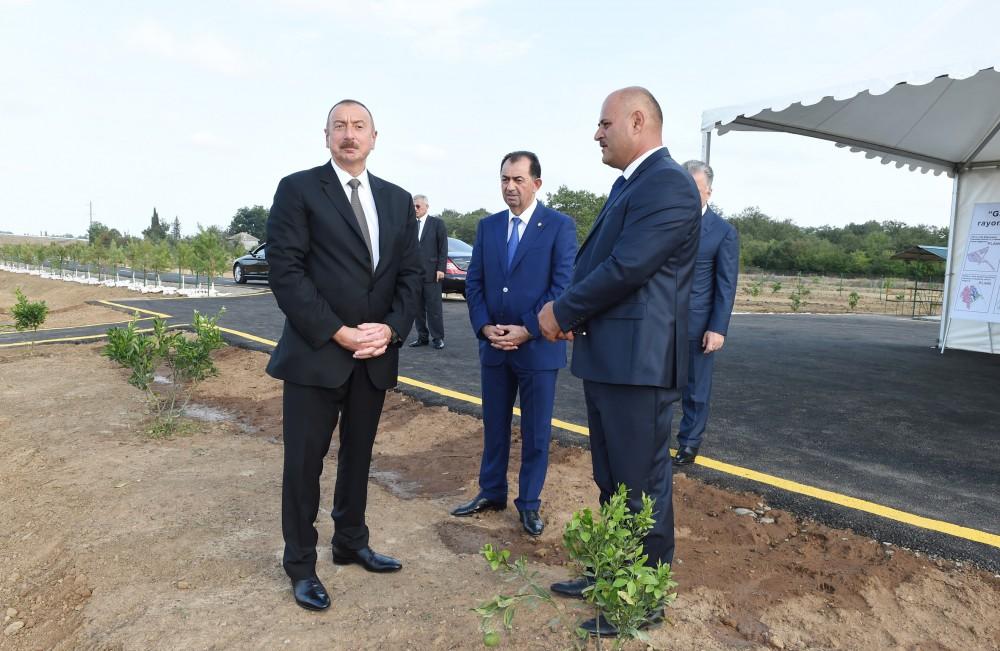 Prezident İlham Əliyev Lənkəranda “Gilan Orchards" MMC tərəfindən salınmış sitrus bağları ilə tanış olub (FOTO)