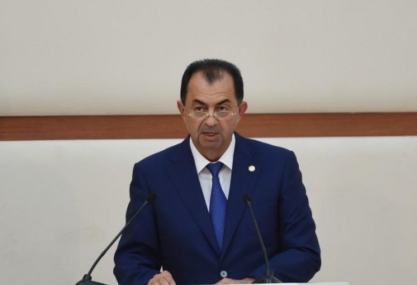 İcra başçısı: Lənkəranda mövcud çay plantasiyaları 1000 hektara çatdırılacaq