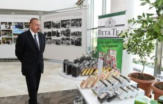 Prezident İlham Əliyevin sədrliyi ilə Lənkəranda çay, çəltik və sitrus meyvələri istehsalının inkişafı məsələlərinə dair respublika müşavirəsi keçirilib (FOTO) (YENİLƏNİB-2)