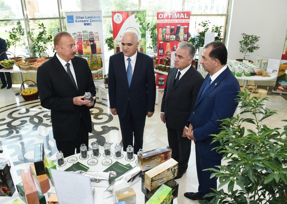 Prezident İlham Əliyevin sədrliyi ilə Lənkəranda çay, çəltik və sitrus meyvələri istehsalının inkişafı məsələlərinə dair respublika müşavirəsi keçirilib (FOTO) (YENİLƏNİB-2)