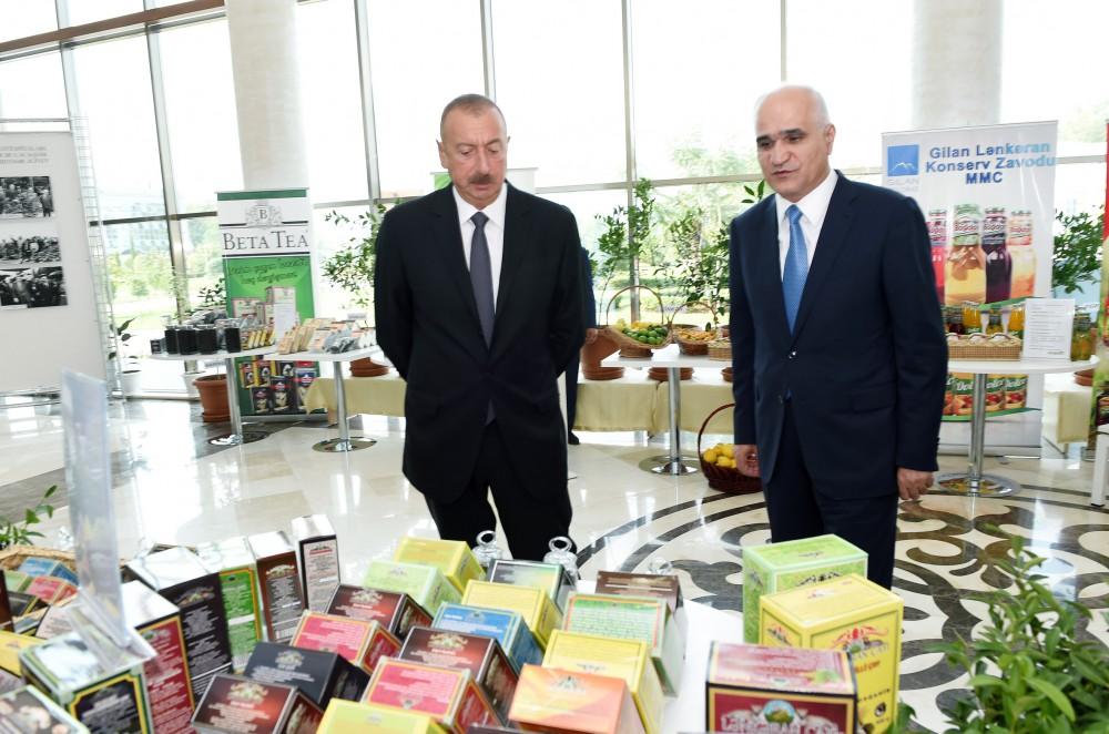 Prezident İlham Əliyevin sədrliyi ilə Lənkəranda çay, çəltik və sitrus meyvələri istehsalının inkişafı məsələlərinə dair respublika müşavirəsi keçirilib (FOTO) (YENİLƏNİB-2)