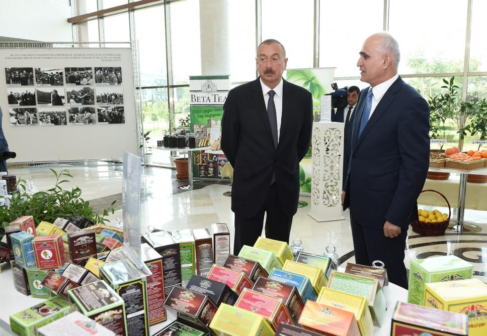 Prezident İlham Əliyevin sədrliyi ilə Lənkəranda çay, çəltik və sitrus meyvələri istehsalının inkişafı məsələlərinə dair respublika müşavirəsi keçirilib (FOTO) (YENİLƏNİB-2)