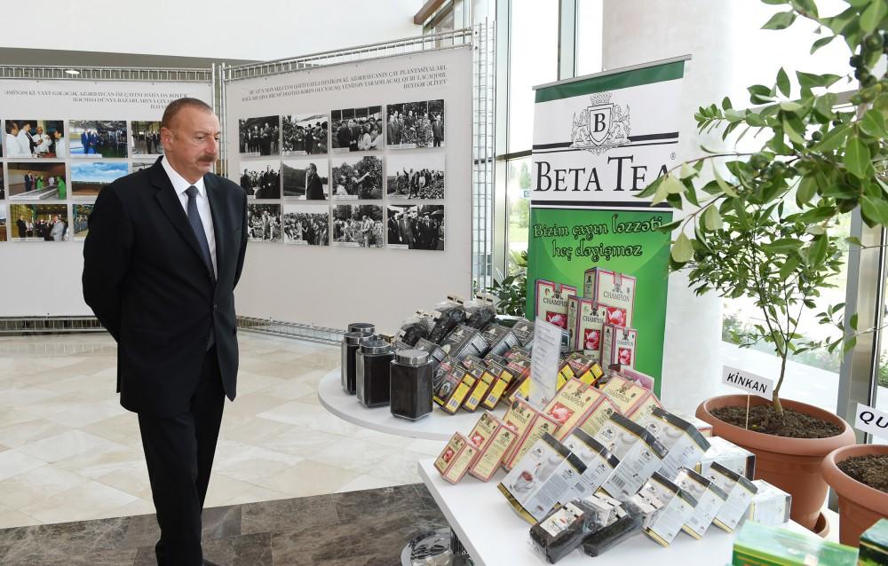 Prezident İlham Əliyevin sədrliyi ilə Lənkəranda çay, çəltik və sitrus meyvələri istehsalının inkişafı məsələlərinə dair respublika müşavirəsi keçirilib (FOTO) (YENİLƏNİB-2)