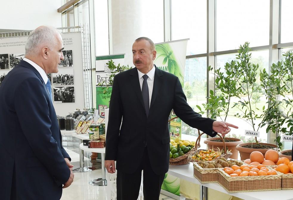 Prezident İlham Əliyevin sədrliyi ilə Lənkəranda çay, çəltik və sitrus meyvələri istehsalının inkişafı məsələlərinə dair respublika müşavirəsi keçirilib (FOTO) (YENİLƏNİB-2)