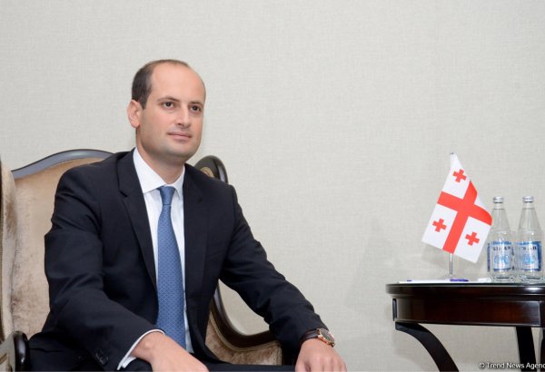 Canelidze: Bakı, Ankara və Tbilisi münasibətlərə yeni təkan vermək niyyətindədir