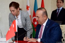 Məmmədyarov: Azərbaycan, Türkiyə və Gürcüstan prezidentlərinin sammitinə hazırlıq görülür (FOTO) (YENİLƏNİB)