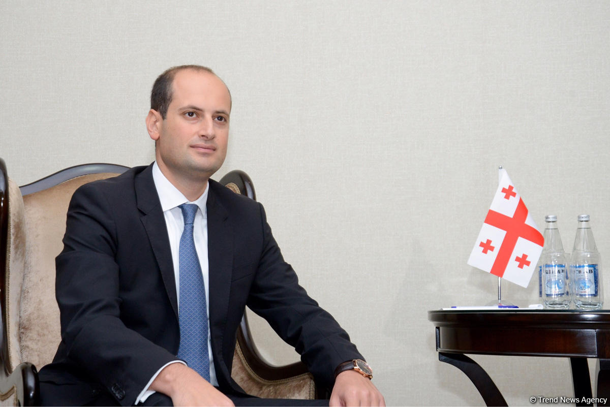 Canelidze: Bakı, Ankara və Tbilisi münasibətlərə yeni təkan vermək niyyətindədir