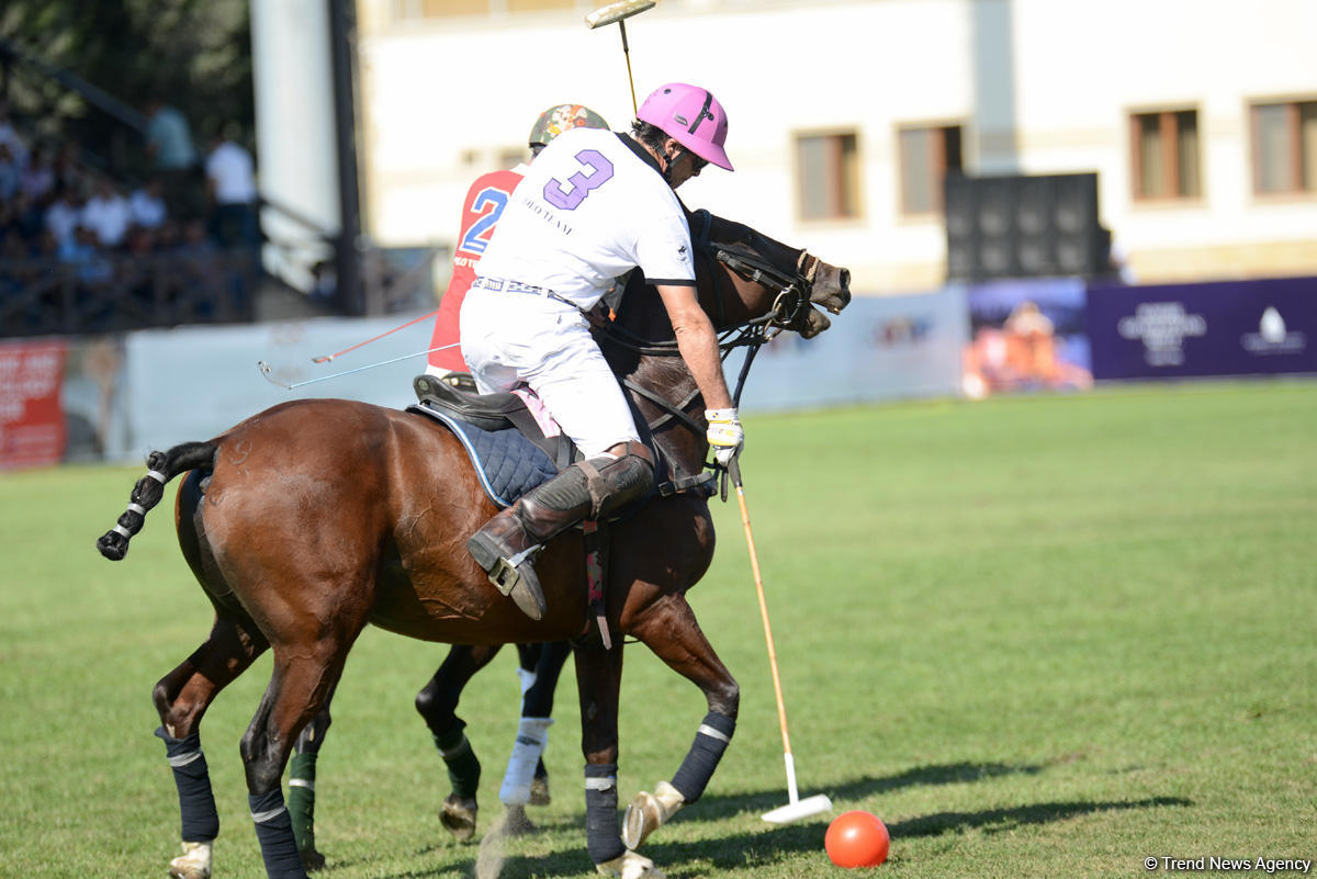 Azərbaycanın polo komandası Dünya Kubokunun qalibi olub (FOTO)