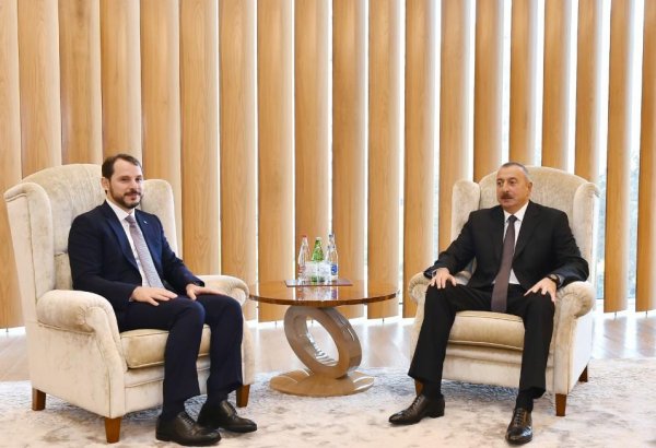 Azərbaycan Prezidenti Türkiyənin enerji və təbii sərvətlər naziri ilə görüşüb