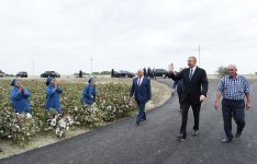 Prezident İlham Əliyev Neftçala rayonunda pambıq sahəsi ilə tanış olub (FOTO)