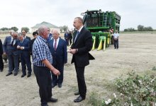 Prezident İlham Əliyev Neftçala rayonunda pambıq sahəsi ilə tanış olub (FOTO)