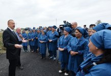 Prezident İlham Əliyev Neftçala rayonunda pambıq sahəsi ilə tanış olub (FOTO)