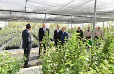 Prezident İlham Əliyev Salyanın Xıdırlı kəndində dəniz suyunun duzsuzlaşdırılması kompleksinin fəaliyyəti ilə tanış olub (FOTO)