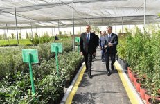 Prezident İlham Əliyev Salyanın Xıdırlı kəndində dəniz suyunun duzsuzlaşdırılması kompleksinin fəaliyyəti ilə tanış olub (FOTO)