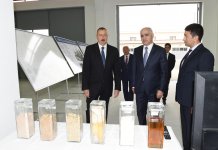 Prezident İlham Əliyev Neftçala Sənaye Məhəlləsinin açılışında iştirak edib (YENİLƏNİB) (FOTO)