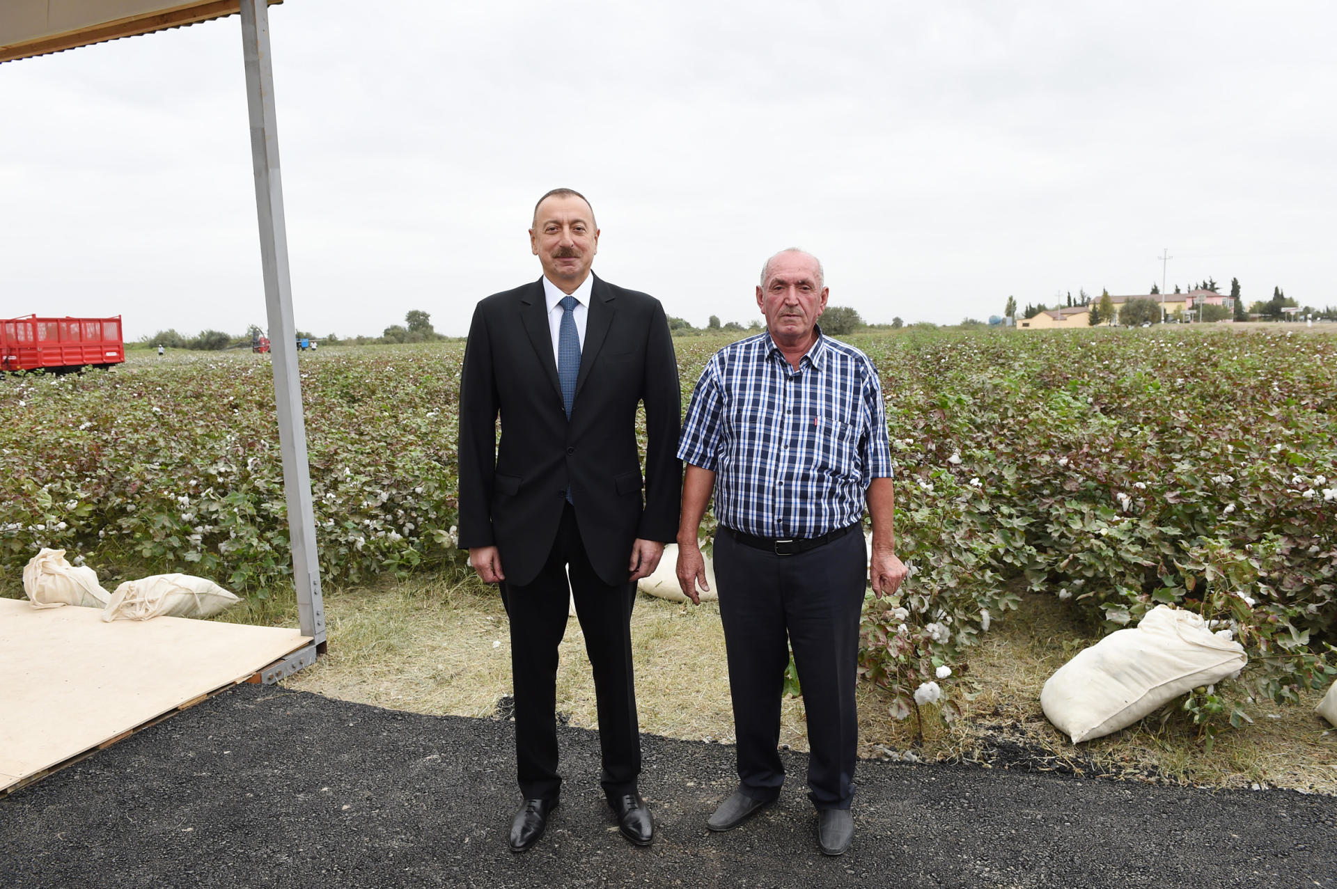 Prezident İlham Əliyev Neftçala rayonunda pambıq sahəsi ilə tanış olub (FOTO)