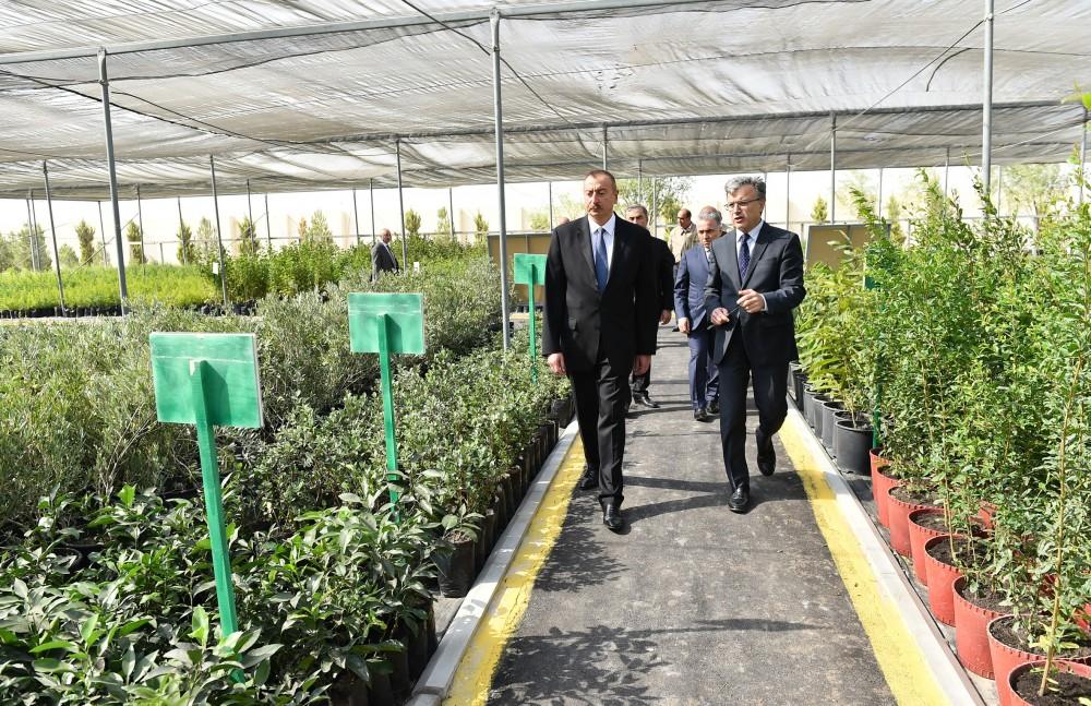 Prezident İlham Əliyev Salyanın Xıdırlı kəndində dəniz suyunun duzsuzlaşdırılması kompleksinin fəaliyyəti ilə tanış olub (FOTO)