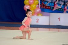 Bədii gimnastika üzrə Payız Ulduzları açıq birinciliyi keçirilib (FOTO)