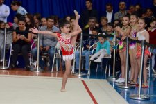 Bədii gimnastika üzrə Payız Ulduzları açıq birinciliyi keçirilib (FOTO)