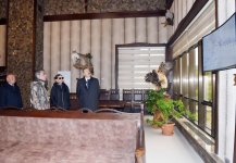 Prezident İlham Əliyev və birinci xanım yeni yaradılan Şamaxı Safari Parkı ilə tanış olublar (FOTO)