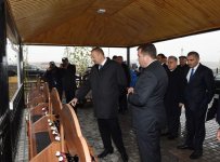 Prezident İlham Əliyev Şamaxıda üzüm bağları ilə tanış olub (FOTO)