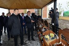 Prezident İlham Əliyev Şamaxıda üzüm bağları ilə tanış olub (FOTO)