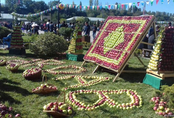 Qubada “Alma bayramı” və “Xalça festivalı” (FOTO)