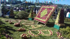 Qubada “Alma bayramı” və “Xalça festivalı” (FOTO)