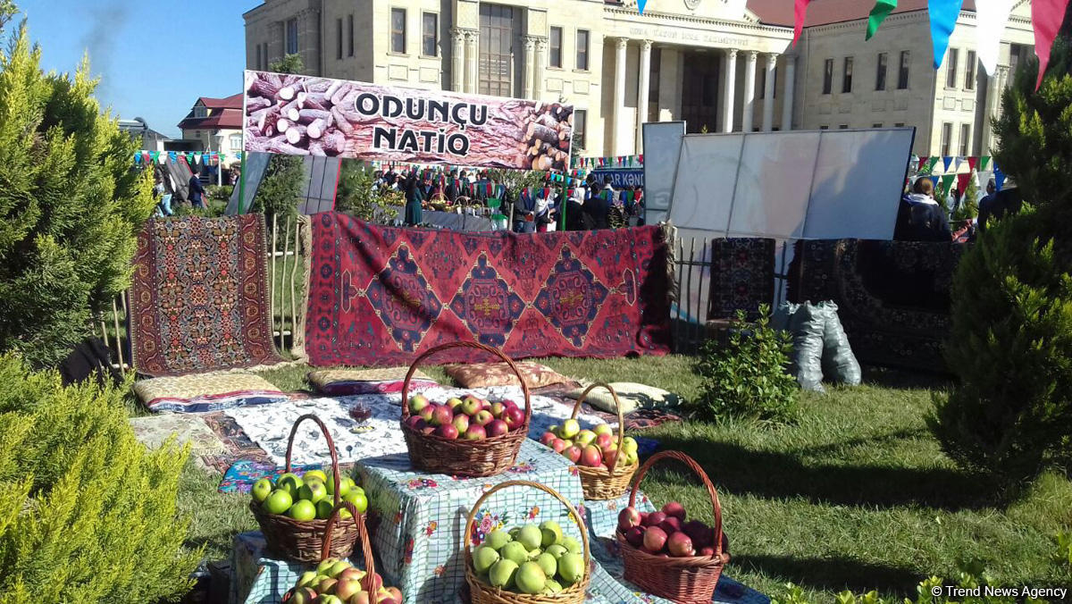 Qubada “Alma bayramı” və “Xalça festivalı” (FOTO)