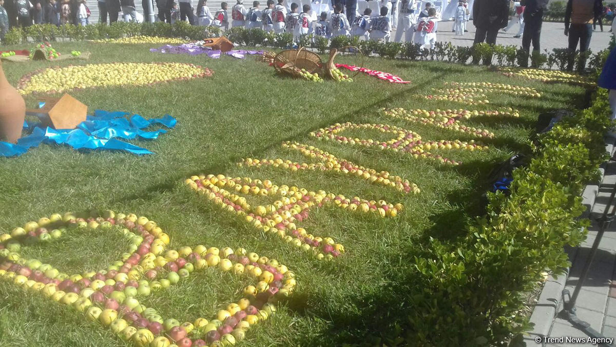 Qubada “Alma bayramı” və “Xalça festivalı” (FOTO)