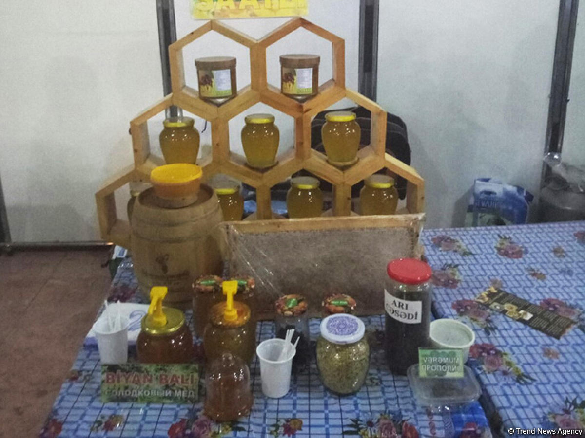 Bakıda bal yarmarkasının iştirakçılarının sayı artıb (FOTO)