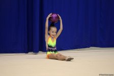 Bakıda bədii gimnastika üzrə START İK-nın "Payız ulduzları" kuboku və açıq birinciliyi başlayıb (FOTO)