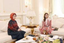 Azərbaycanın və Türkiyənin birinci xanımlarının görüşü olub (FOTO)