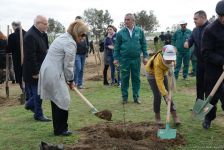 YAP “Hərəyə bir ağac əkək” kampaniyasına start verdi (FOTO)