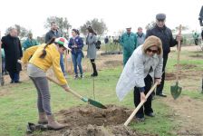 YAP “Hərəyə bir ağac əkək” kampaniyasına start verdi (FOTO)