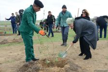 YAP “Hərəyə bir ağac əkək” kampaniyasına start verdi (FOTO)