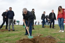 YAP “Hərəyə bir ağac əkək” kampaniyasına start verdi (FOTO)