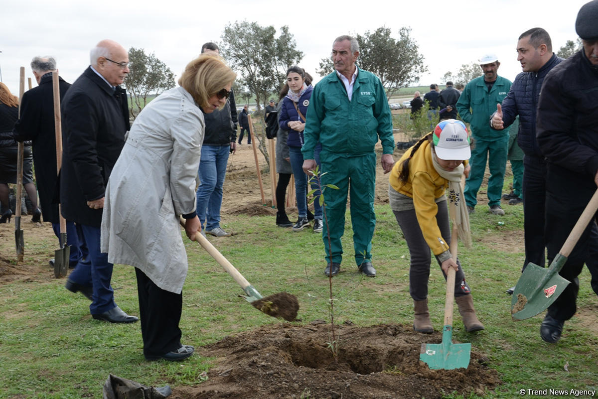 YAP “Hərəyə bir ağac əkək” kampaniyasına start verdi (FOTO)