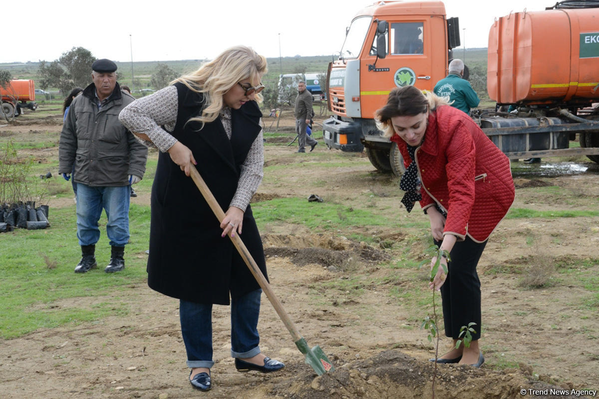 YAP “Hərəyə bir ağac əkək” kampaniyasına start verdi (FOTO)