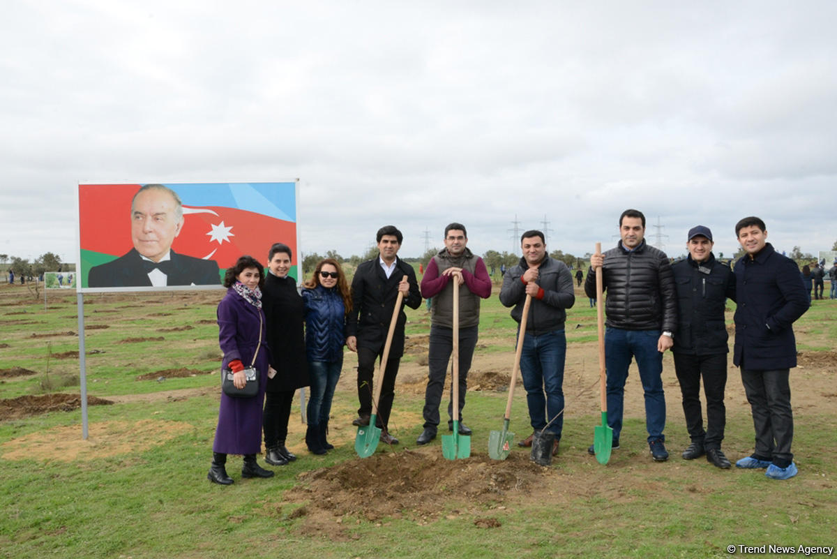 YAP “Hərəyə bir ağac əkək” kampaniyasına start verdi (FOTO)