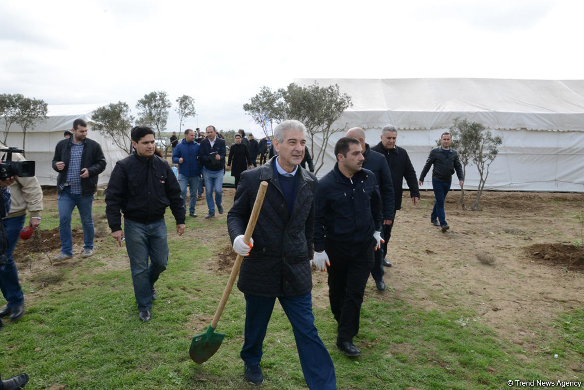 YAP “Hərəyə bir ağac əkək” kampaniyasına start verdi (FOTO)