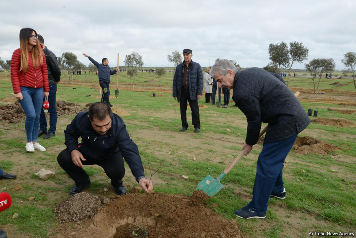 YAP “Hərəyə bir ağac əkək” kampaniyasına start verdi (FOTO)